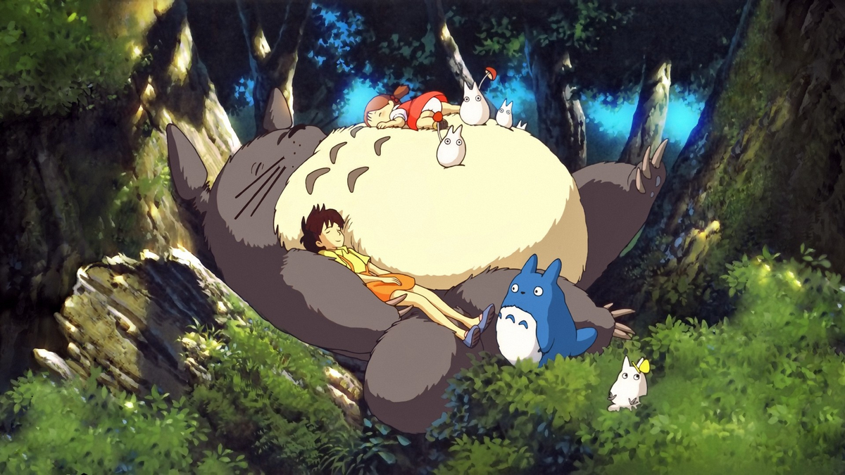 anh-totoro-12