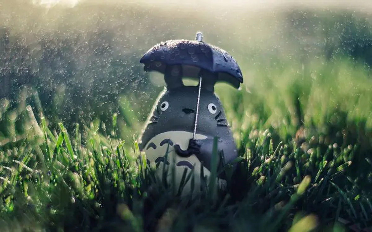 anh-totoro-cute-5