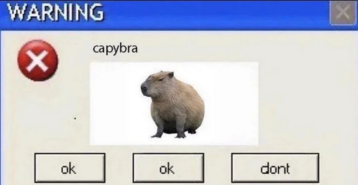 anh-capybara-meme-2