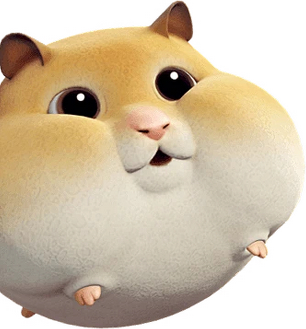 anh-hamster-meme-13