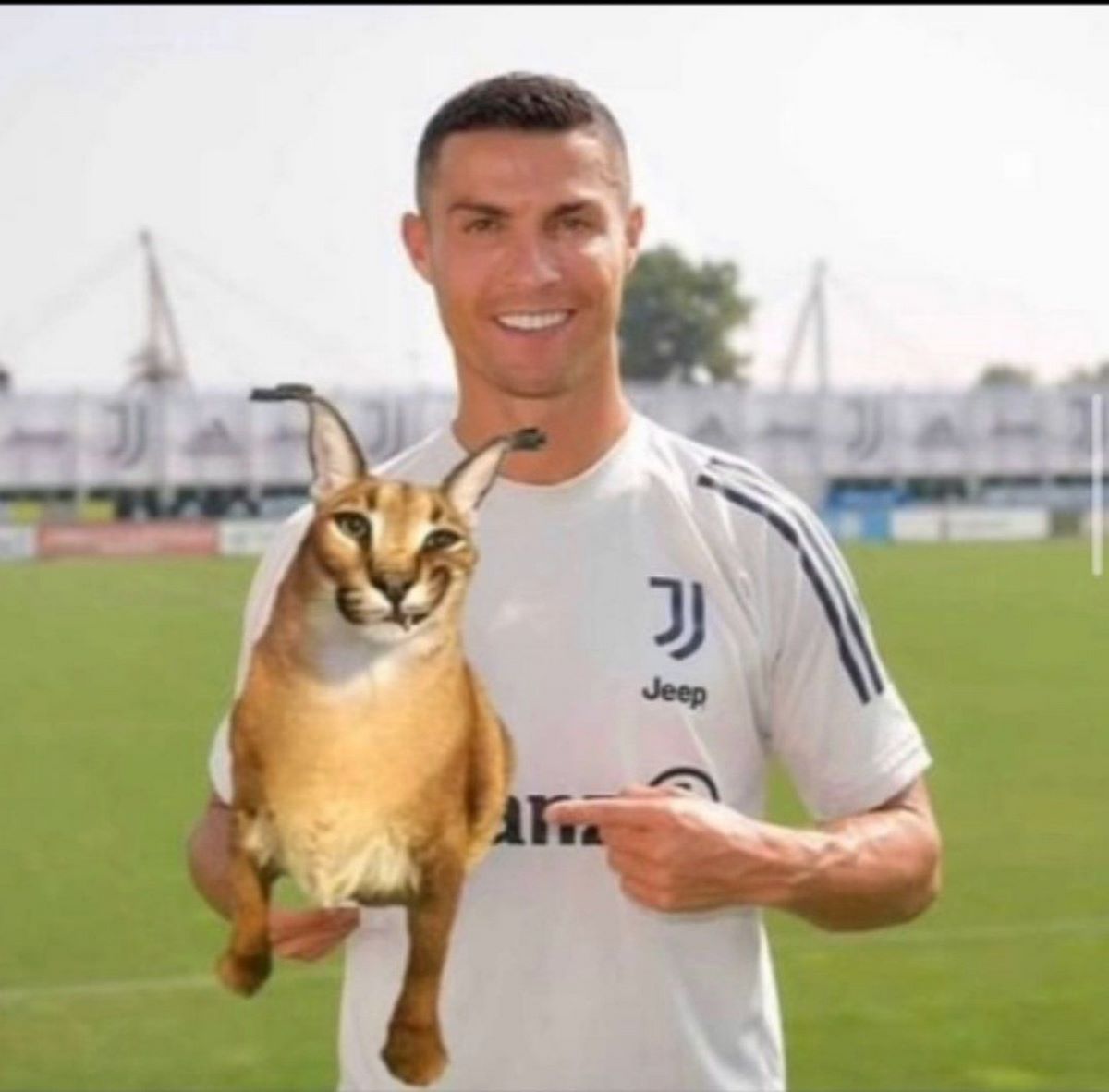 anh-ronaldo-meme-5