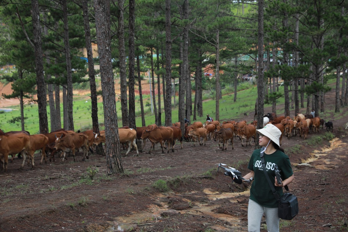 anh-da-lat-dia-diem-du-lich-chua-lanh-dep-nhat-9