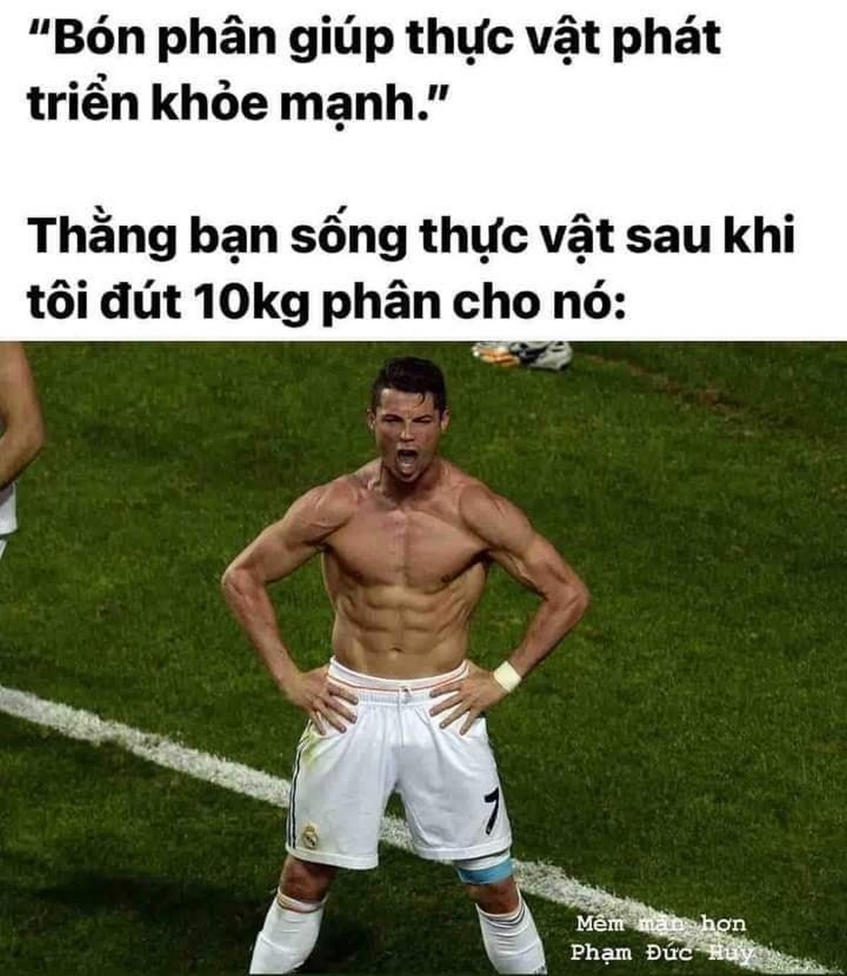 anh-het-cuu-meme-trend-hot-hai-huoc-3