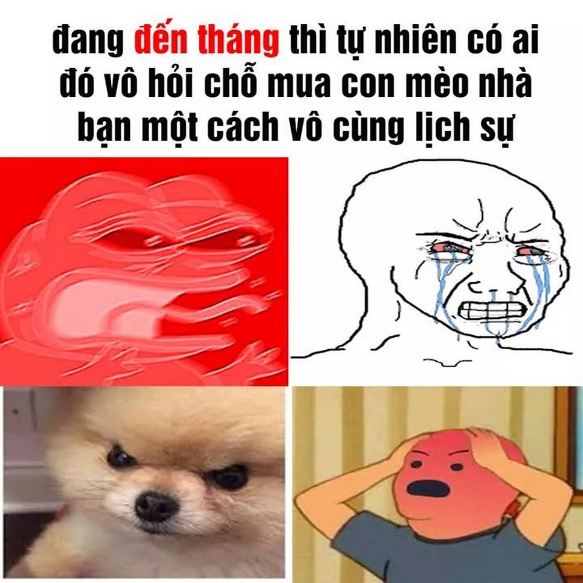 anh-troll-hai-huoc-vui-nhon-11